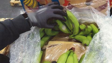 In einer Bananenkiste sind Päckchen mit Drogen versteckt.