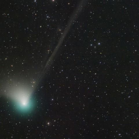 Foto vom Weltall mit Komet ZTF mit grüner Koma und Schweif 