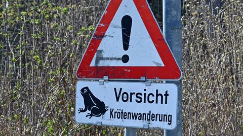 Schild mit der Aufschrift: "Vorsicht Krötenwanderung"