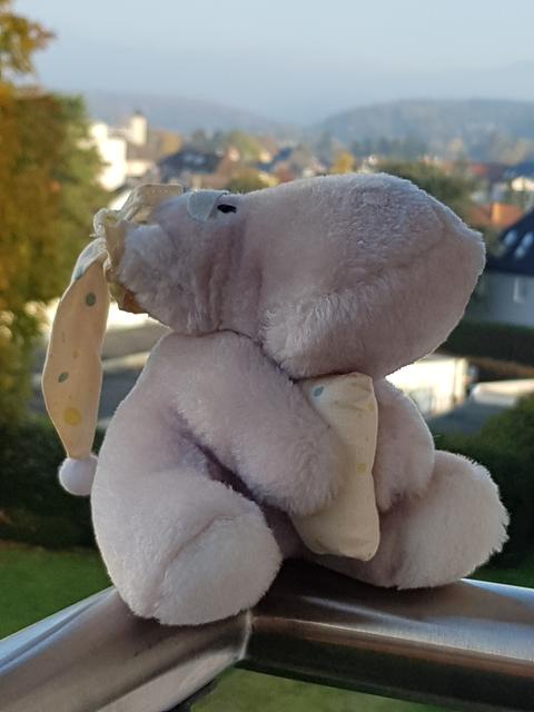 Kuscheltier