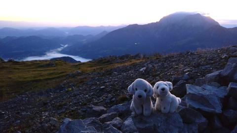 Kuscheltiere in den Bergen