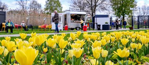 Im Vordergrund ein großes Beet mit gelben Tulpen. Im Bildhintergrund unscharf Menschen, die gerade ankommen, auf Stühlen verweilen oder an einer Eisbude stehen.