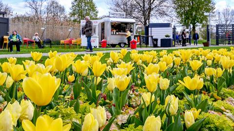 Im Vordergrund ein großes Beet mit gelben Tulpen. Im Bildhintergrund unscharf Menschen, die gerade ankommen, auf Stühlen verweilen oder an einer Eisbude stehen.