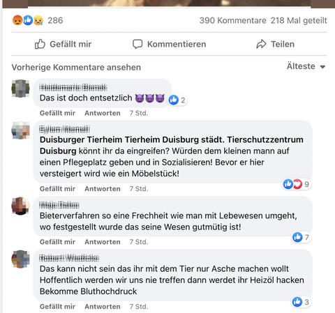 Empörte Kommentare unter dem Facebook-Post des Landkreises Kassel, der einen Pitbull hatte versteigern wollen.