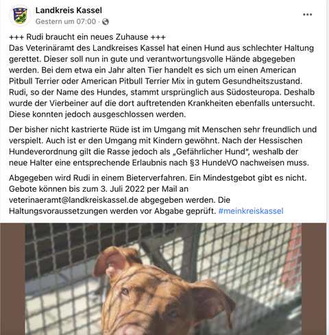 Der Facebook-Post des Landkreises Kassel, der einen Pitbull hatte versteigern wollen.