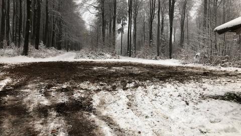 Langlaufloipe im Vogelsberg zerstört