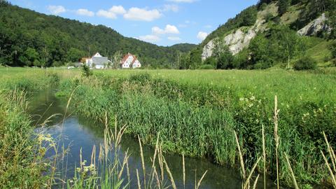 Bach vor Wiesen und Häusern