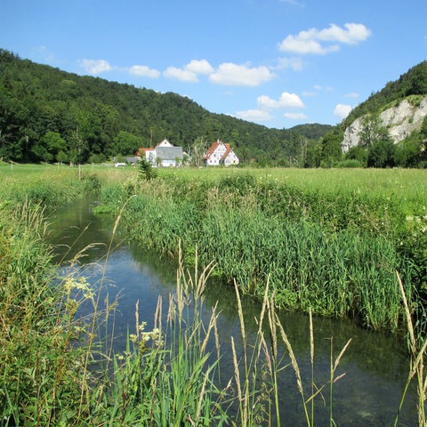 Bach vor Wiesen und Häusern