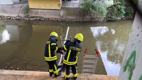 Feuerwehreinsatz: Bergung einer Leicher aus der Nidda bei Frankfurt-Eschersheim