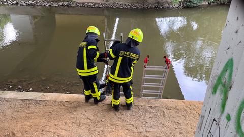 Feuerwehrleute mit einer Leiter unter einer Brücke an einem Fluss