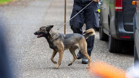 Ein Schäferhund an der Leine eines Polizisten geht eine Straße entlang.