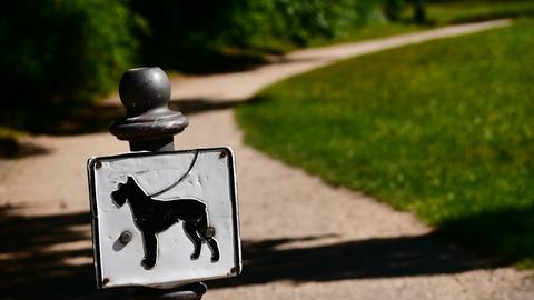 In einem Park steht ein Schild mit einem an der Leine geführten Hund. 