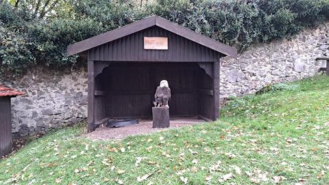 Seeadler Medusa sitzt wieder in ihrem Häuschen im Tierpark.