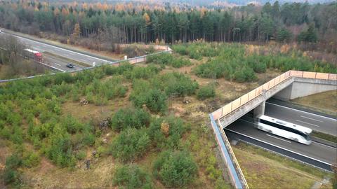 Foto aus der Vogelperspektive, das eine begrünte Brücke zeigt, die über eine Autobahn führt.