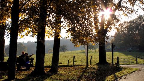 Zwei Wanderer genehmigen sich in der Nähe von Michelstadt im südhessischen Odenwald eine Rast in der goldenen Herbstsonne. 
