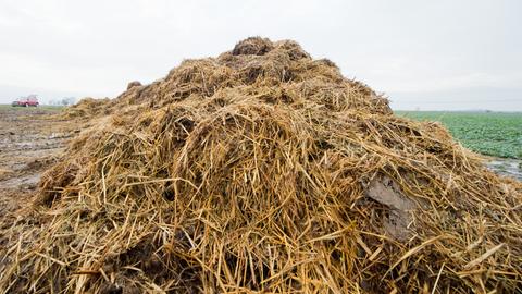 Ein Misthaufen auf einem Feld