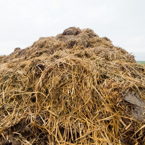 Ein Misthaufen auf einem Feld