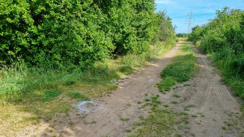 Waldweg, an dem die Leiche gefunden wurde