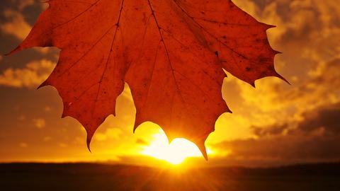 Herbstlicher Sonnenuntergang im Schwälmer Land