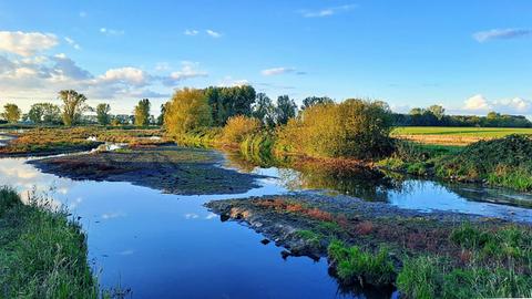 Blick in eine Landschaft in der Abendsonne. Im Bildvordergrund ein kleineres Gewässer.