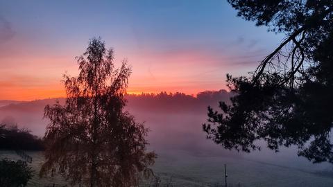 Nebel im Odenwald