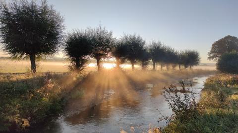 Morgenstimmung in den Schwalmwiesen bei Ziegenhain