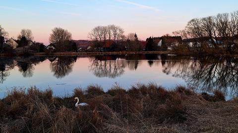 Rötliche Abendsonne spiegelt sich in einem See, im Vordergrund sitzt ein Schwan.