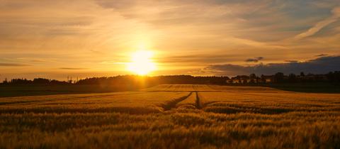 "Traumhafter Sonnenuntergang im Schwälmer Land mit einem herrlichen Abendhimmel und Getreidefeldern im Abendlicht", beschreibt hessenschau.de-Nutzer Jörg Döringer aus Schwalmstadt (Schwalm-Eder) sein Foto.