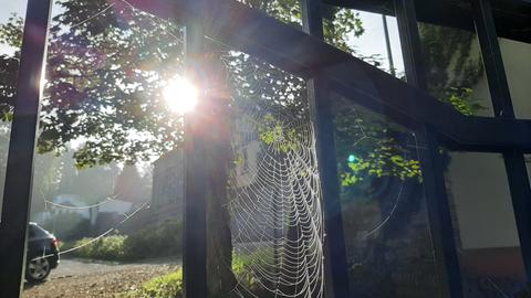 "Der Herbst von seiner schönsten Seite", schreibt uns hessenschau.de-Nutzerin Elke Langer aus Weilburg zu ihrem Foto.