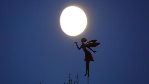 "Der Mond leuchtet durch die Nacht." Aufgenommen hat das Foto Günther Appich, in seinem Garten in Gründau-Rothenbergen.