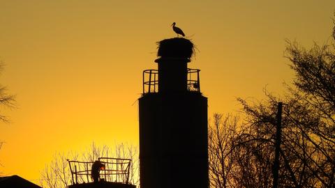 "Sonnenuntergang auf dem Land. Aufgenommen gestern Abend in der Ortsrandlage bei Gelnhausen-Meerholz im Main-Kinzig-Kreis." Mit jenen Worten sendet uns hessenschau.de-Nutzer Günther Appich dieses Bild.