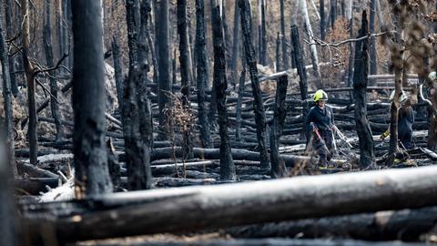 Feuerwehrleute tragen ihre Ausrüstung aus einem niedergebrannten Wald bei Münster