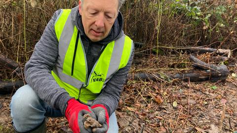 Frank Uwe Pfuhl vom Naturschutzbund (Nabu), kurzes graues Haar, er kniet auf dem Boden, trägt eine Warnweste und hält in den Händen, an denen er Handschuhe trägt, eine Kröte