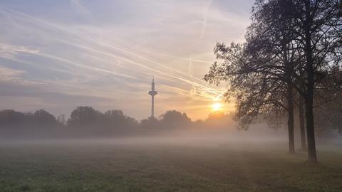 "Morgendämmerung im Niddapark bei Frankfurt-Hausen", schreibt hessenschau.de-Nutzer Thomas Höfle zu seinem Foto von gestern. 