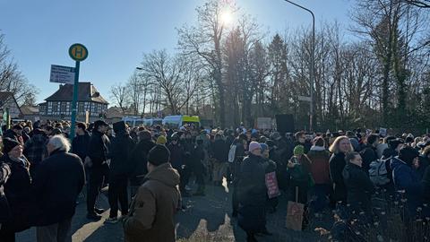Anti-AfD-Demonstrierende in Neu-Isenburg im Gegenlicht; blauer Himmel, Sonne
