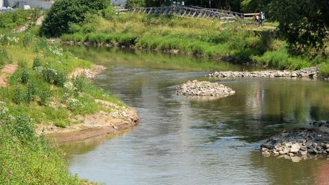 Der Pegelstand der Nidda ist niedrig, am Ufer sieht man teils grünes, teils gelbes Gras.