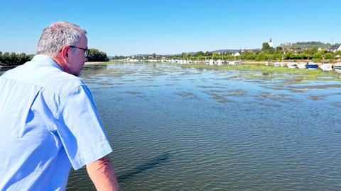 Der Fährmann (von hinten) steht an der Reeling eines Fährschiffes und blickt über den Fluss, der viele grüne Stellen zeigt. Im Bildhintergrund das Flussufer.