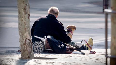 Mann mit Hund und Einkaufstrolley sitzt auf dem Boden neben einem Baum.