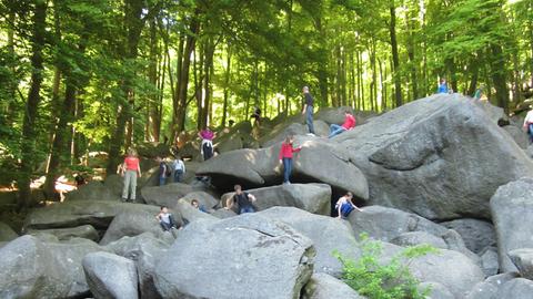 Foto vom sogenannten Felsenmeer im hessischen Odenwald. Menschen klettern auf großen Felsen mitten im Wald.