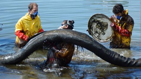 Drei Menschen stehen in Schutzkleidung im Meer und versuchen mit einer Art Wulst das ausgelaufene Öl aufzunehmen.