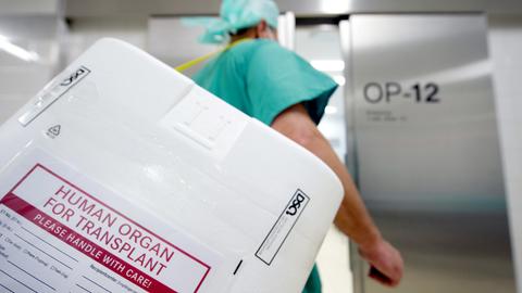 Ein Styropor-Behälter zum Transport von zur Transplantation vorgesehenen Organen wird am Eingang eines OP-Saales vorbeigetragen. 