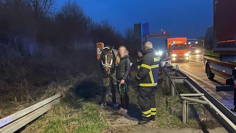 Besitzerin und Feuerwehrmann führen das Pferd