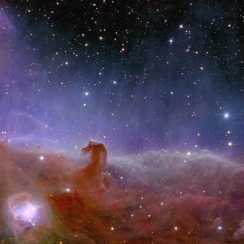 Euclid-Aufnahme des Pferdekopf-Nebels im Sternbild des Orion