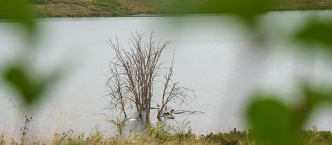 Blick vom Ufer des Teufelsees, wo die Leiche der 14-Jährigen entdeckt wurde.