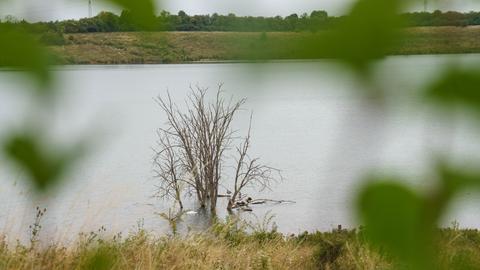 Blick vom Ufer des Teufelsees, wo die Leiche der 14-Jährigen entdeckt wurde.