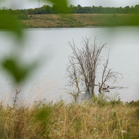 Blick vom Ufer des Teufelsees, wo die Leiche der 14-Jährigen entdeckt wurde.