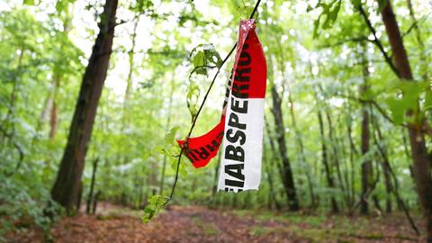 Eine Rest eines rot-weißen Absperrbandes der Polizei hängt an einem Zweig im Wald.