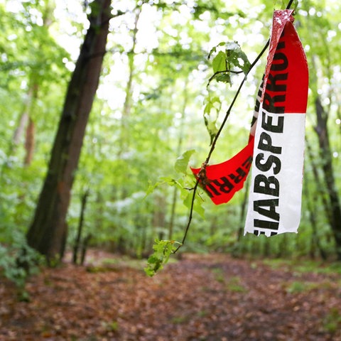 Eine Rest eines rot-weißen Absperrbandes der Polizei hängt an einem Zweig im Wald.