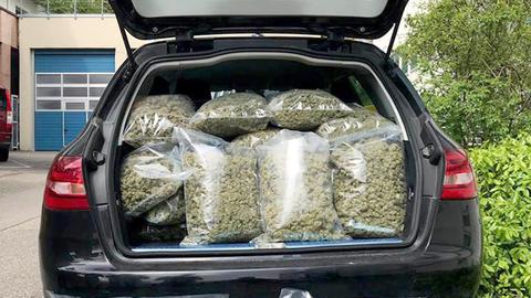 Beschlagnahmtes Marihuana der Polizei Stuttgart