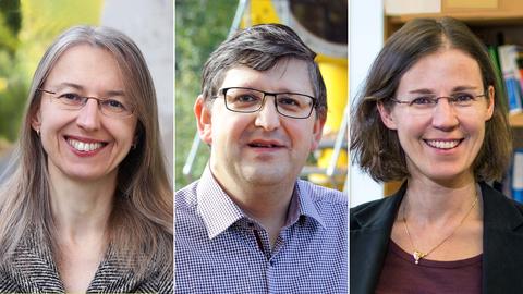 Drei Portraits der Preisträger*innen Prof. Marietta Auer, Prof. Gabriel Martínez-Pinedo und Prof. Dr. Stefanie Dehnen.